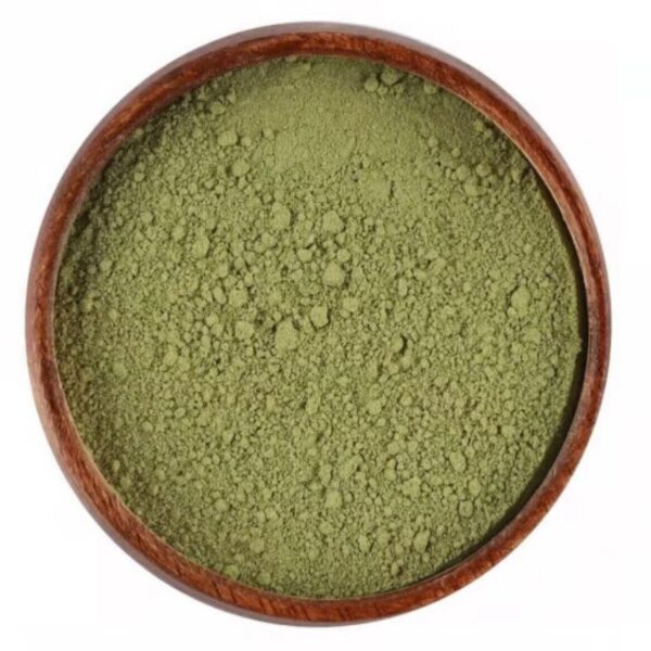 السدر الطبيعي الاصلي من المدينه