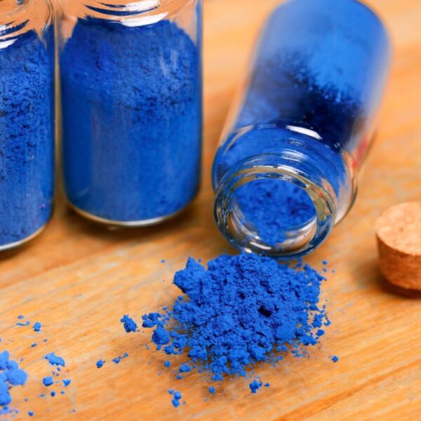 النيلة الصحراوية الأصلية (النيلة الزرقاء المغربية)